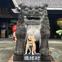 琉球村の写真・動画_image_777936