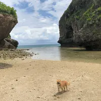 兼久ビーチの写真・動画_image_778695