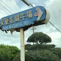 安慶名城跡闘牛場の写真・動画_image_778703