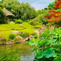 退蔵院の写真・動画_image_780567