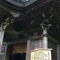 戸隠神社九頭龍社の写真・動画_image_780706