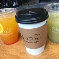 SORA terrace（ソラテラス）の写真・動画_image_780717