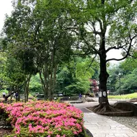 蚕糸の森公園の写真・動画_image_780818