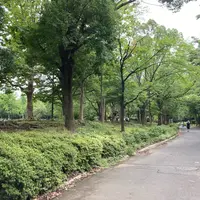 木場公園の写真・動画_image_781989