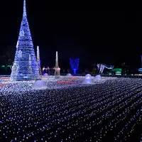 フローランテ宮崎の写真・動画_image_782982