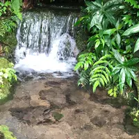 天の真名井の写真・動画_image_783906