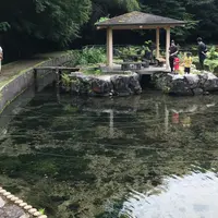 本宮の泉の写真・動画_image_783907