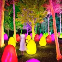 武蔵野樹林パークの写真・動画_image_783912