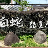 白蛇資料館の写真・動画_image_784080