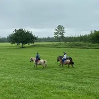 森の馬小屋の写真・動画_image_784184