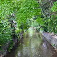 高瀬川の写真・動画_image_785035