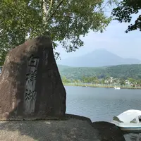 白樺湖の写真・動画_image_786961
