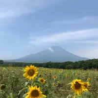 山中湖花の都公園の写真・動画_image_786967