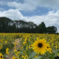 世羅高原農場の写真・動画_image_787909