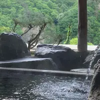 老神温泉 伍楼閣の写真・動画_image_788211