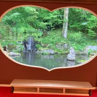 青龍山 吉祥寺の写真・動画_image_788217