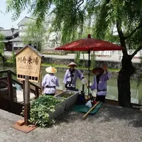 くらしき川舟流しの写真・動画_image_788293