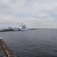 横浜港大さん橋国際客船ターミナル（大さん橋）の写真・動画_image_788736