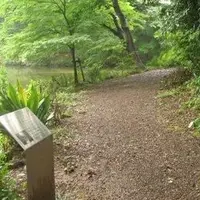 血洗いの池の写真・動画_image_788760