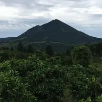 金峰山の写真・動画_image_789855