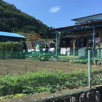 オートボディ・スギモトの写真・動画_image_790520