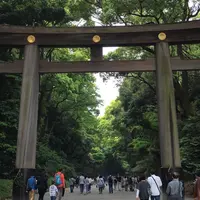 明治神宮の写真・動画_image_790540