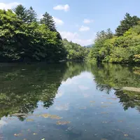 雲場池の写真・動画_image_791027