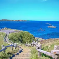 スコトン岬の写真・動画_image_792621