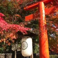 下鴨神社（賀茂御祖神社）の写真・動画_image_793638