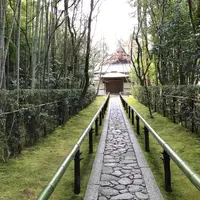 高桐院の写真・動画_image_794017