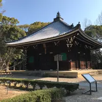 仁和寺の写真・動画_image_794827