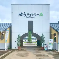 せらワイナリーの写真・動画_image_795081