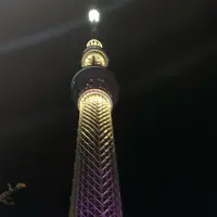 東京スカイツリーの写真・動画_image_795324