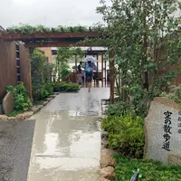 道後温泉 空の散歩道の写真・動画_image_796991