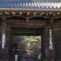 二尊院の写真・動画_image_796996