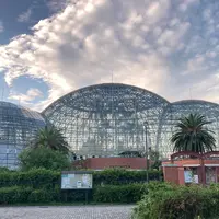 東京都夢の島熱帯植物館の写真・動画_image_797009