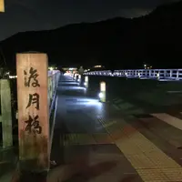 渡月橋の写真・動画_image_797071