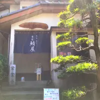 鮪と地魚の和食処　本家鮪屋の写真・動画_image_797198