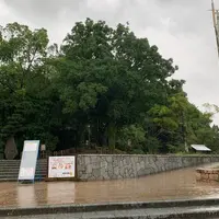 道後公園の写真・動画_image_798352