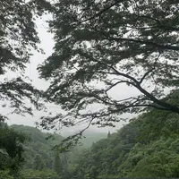 灰ヶ峰の写真・動画_image_798361