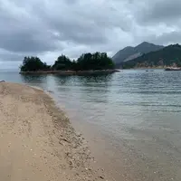 茶臼山の写真・動画_image_798463