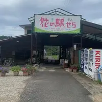 花の駅せらの写真・動画_image_799038