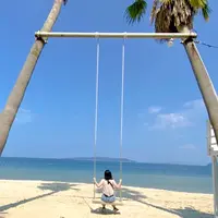 ヤシの木ブランコの写真・動画_image_799069