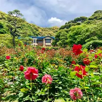 鎌倉文学館の写真・動画_image_799540
