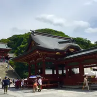 鶴岡八幡宮の写真・動画_image_799555