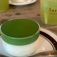 Satén japanese teaの写真・動画_image_801230