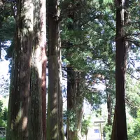 諏訪神社の写真・動画_image_802713