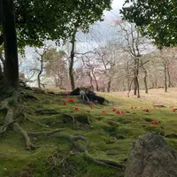 城南宮の写真・動画_image_802909