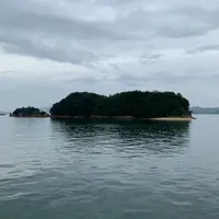 甘崎城跡の写真・動画_image_803673