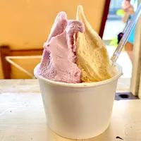 G.エルムの写真・動画_image_805584